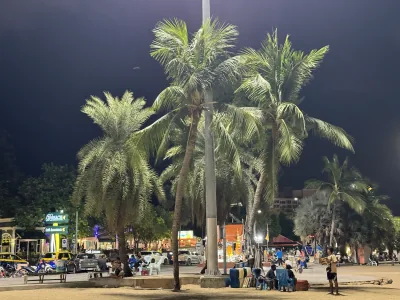Palm trees and evening activity along Pattaya Beach
