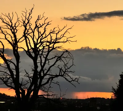 Evening sky in Oxford