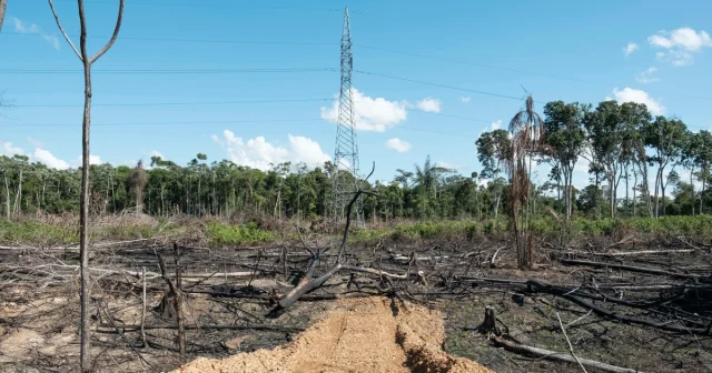 The Today Show coverage image for illegal gold mining in the Amazon