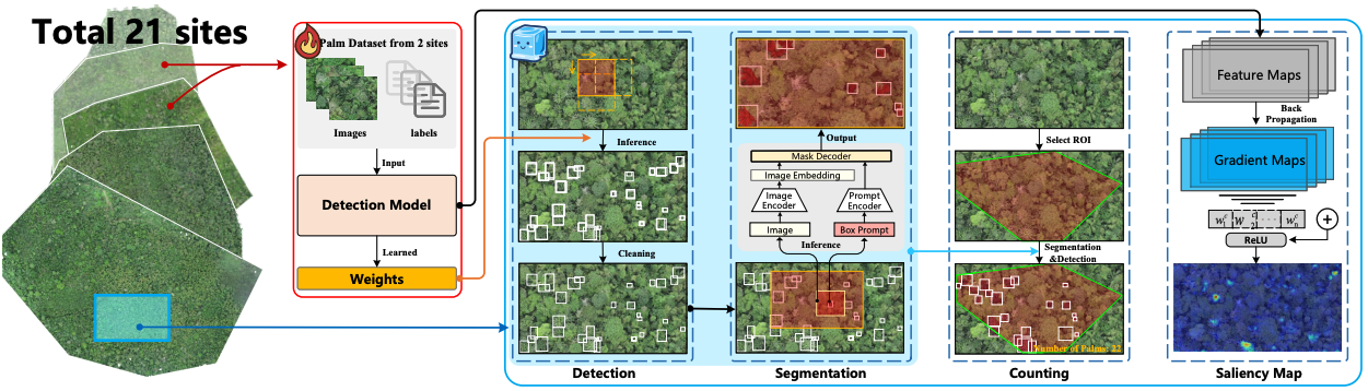 Figure for Cui et al., 2025