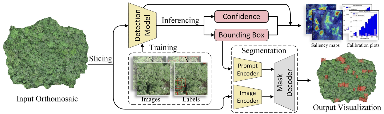 Figure for Cui et al., 2025