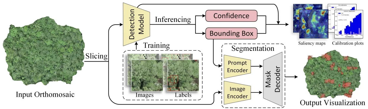 PRISM workflow: aerial forest imagery, palm detection, segmentation, and geographic mapping