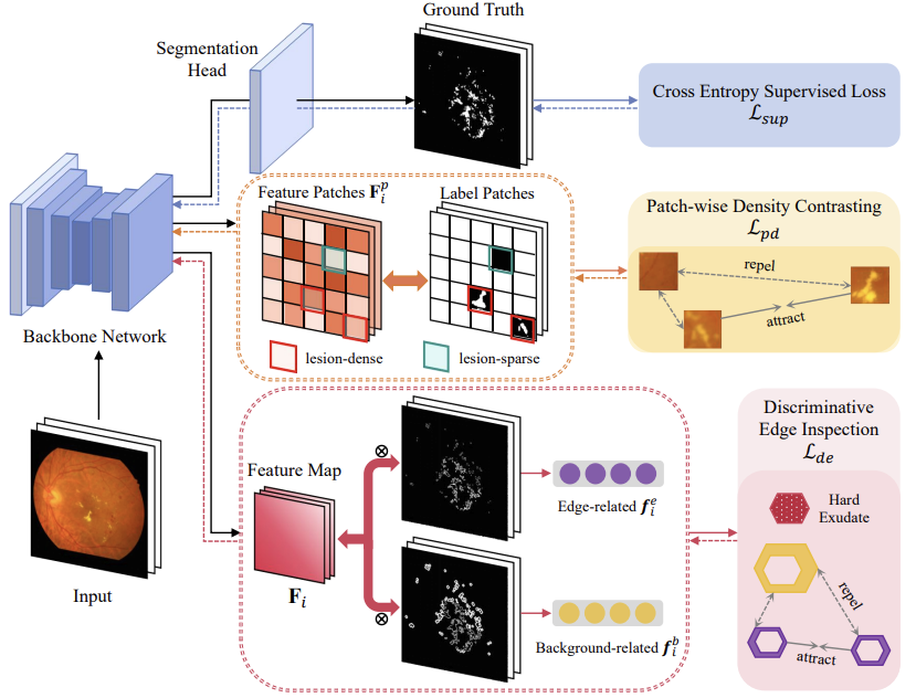 Figure for Tang et al., 2024