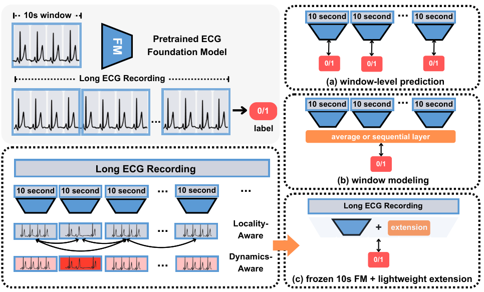 Overview of extending frozen 10-second ECG foundation models to longer recordings with a lightweight plug-in module